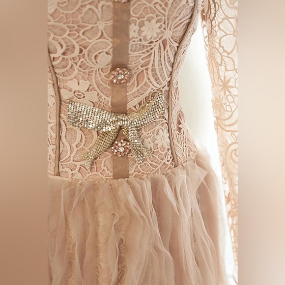 NWT Sierra Darien Elegant Lace Long Sleeve Dress in Cream M - Picture 8 of 8